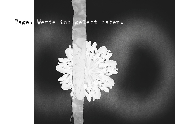 eBook «Tage. Werde ich gelebt haben.»