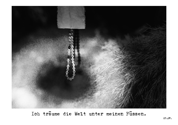 eBook «Tage. Werde ich gelebt haben.» – Bild 5