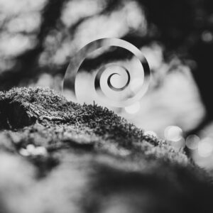 Der Ozean · Kreativkurs